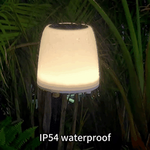 Load image into Gallery viewer, Outdoor RGB Solar Stand Light